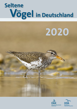 Seltene Vögel in Deutschland 