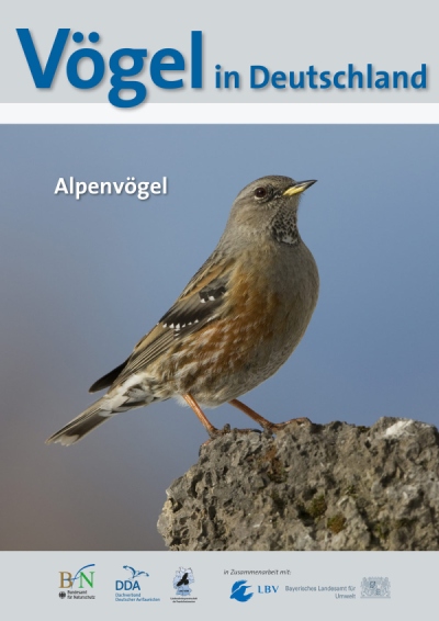 Vögel in Deutschland 