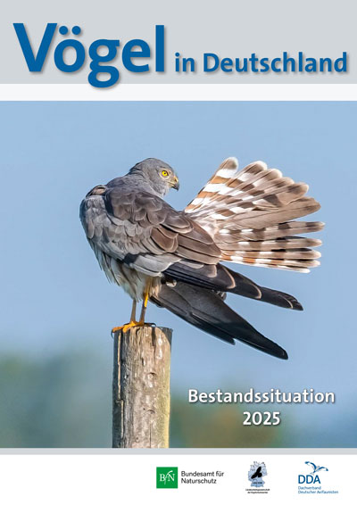 Vögel in Deutschland 