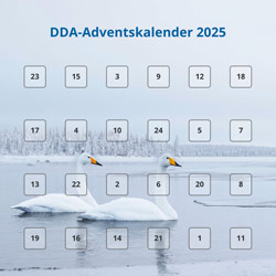 Icon Adventskalender 25