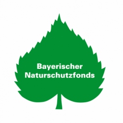 BNF