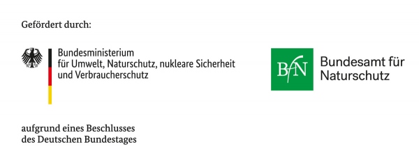 Förderung