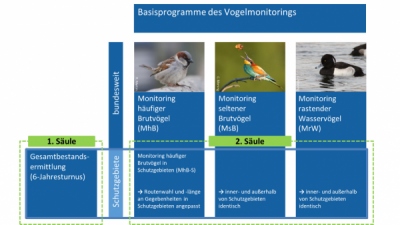 Schaubild Monitoring in Schutzgebieten