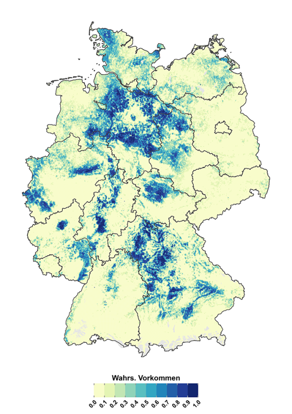 Lokale Vorkommenswahrscheinlichkeit für das Rebhuhn