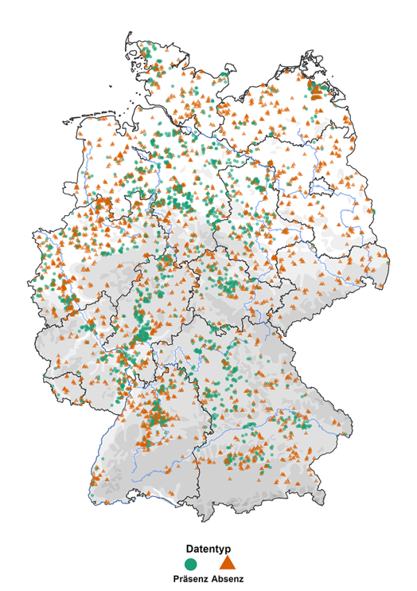 Erwartete Anzahl von Rebhuhn-Rufnachweisen pro TK25-Rasterzelle