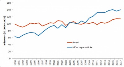 Bestandsveränderungen von Amsel und Mönchsgrasmücke