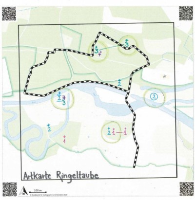 Artkarte Ringeltaube